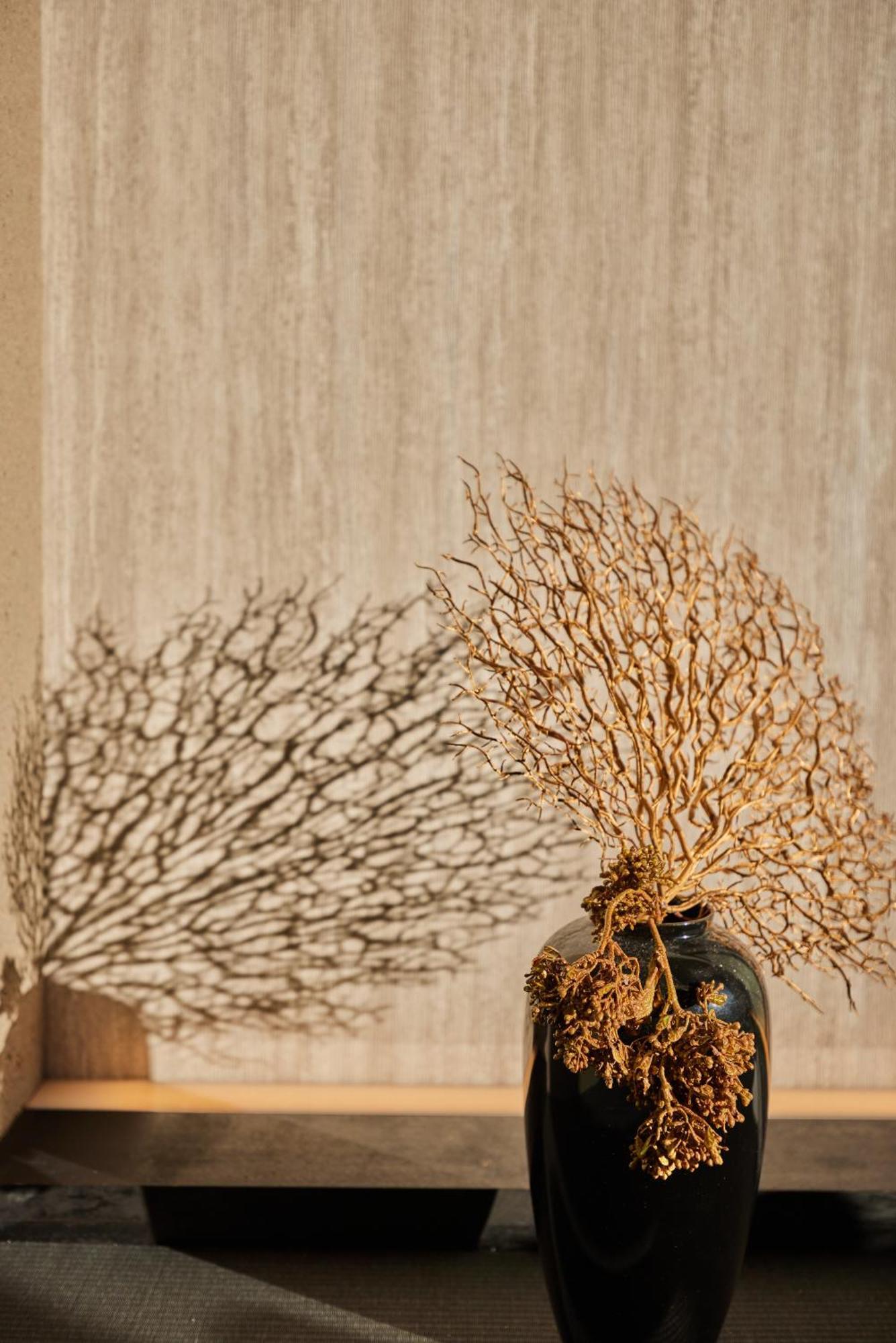 Hakuba Hibiku Chalet By Jade Group Eksteriør billede